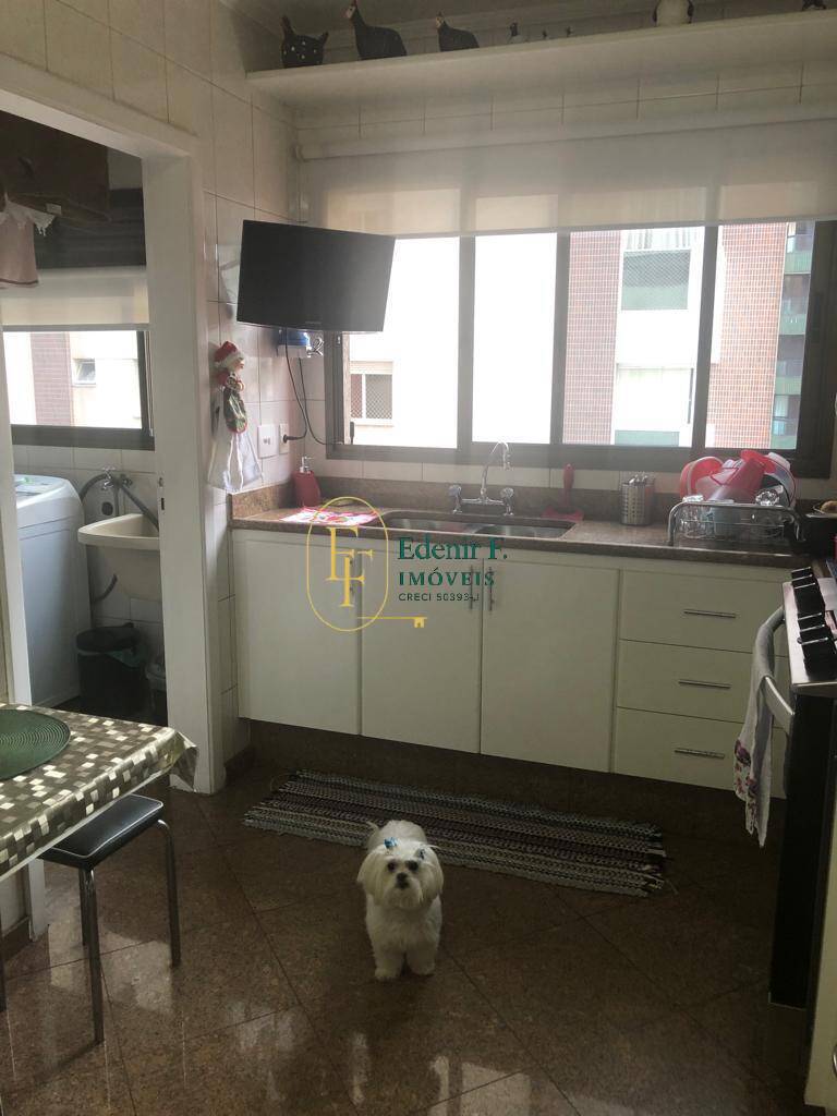 Apartamento, 4 quartos, 165 m² - Foto 9