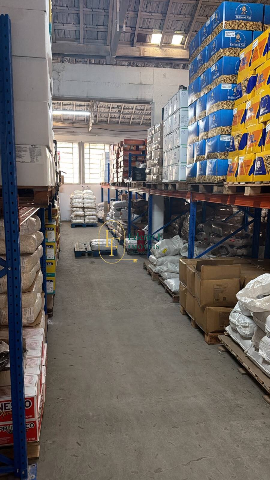Sala-Conjunto, 1766 m² - Foto 5