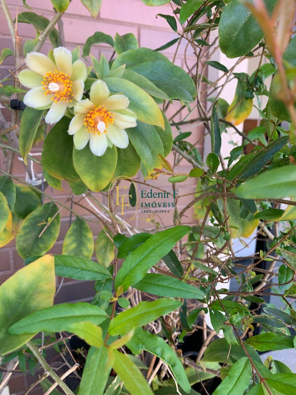 Apartamento, 3 quartos, 108 m² - Foto 22