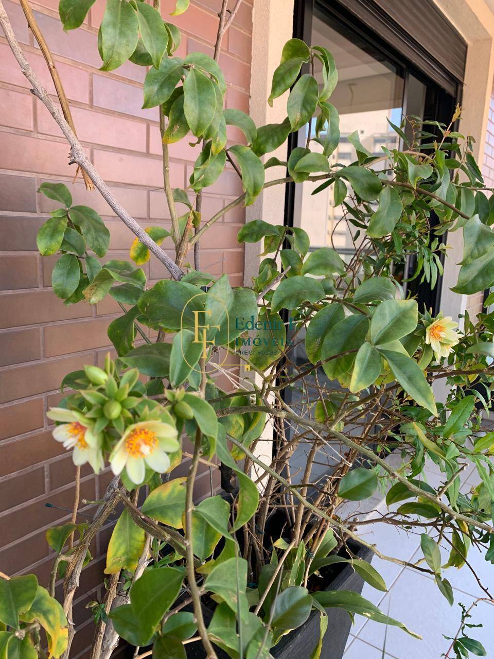 Apartamento, 3 quartos, 108 m² - Foto 23