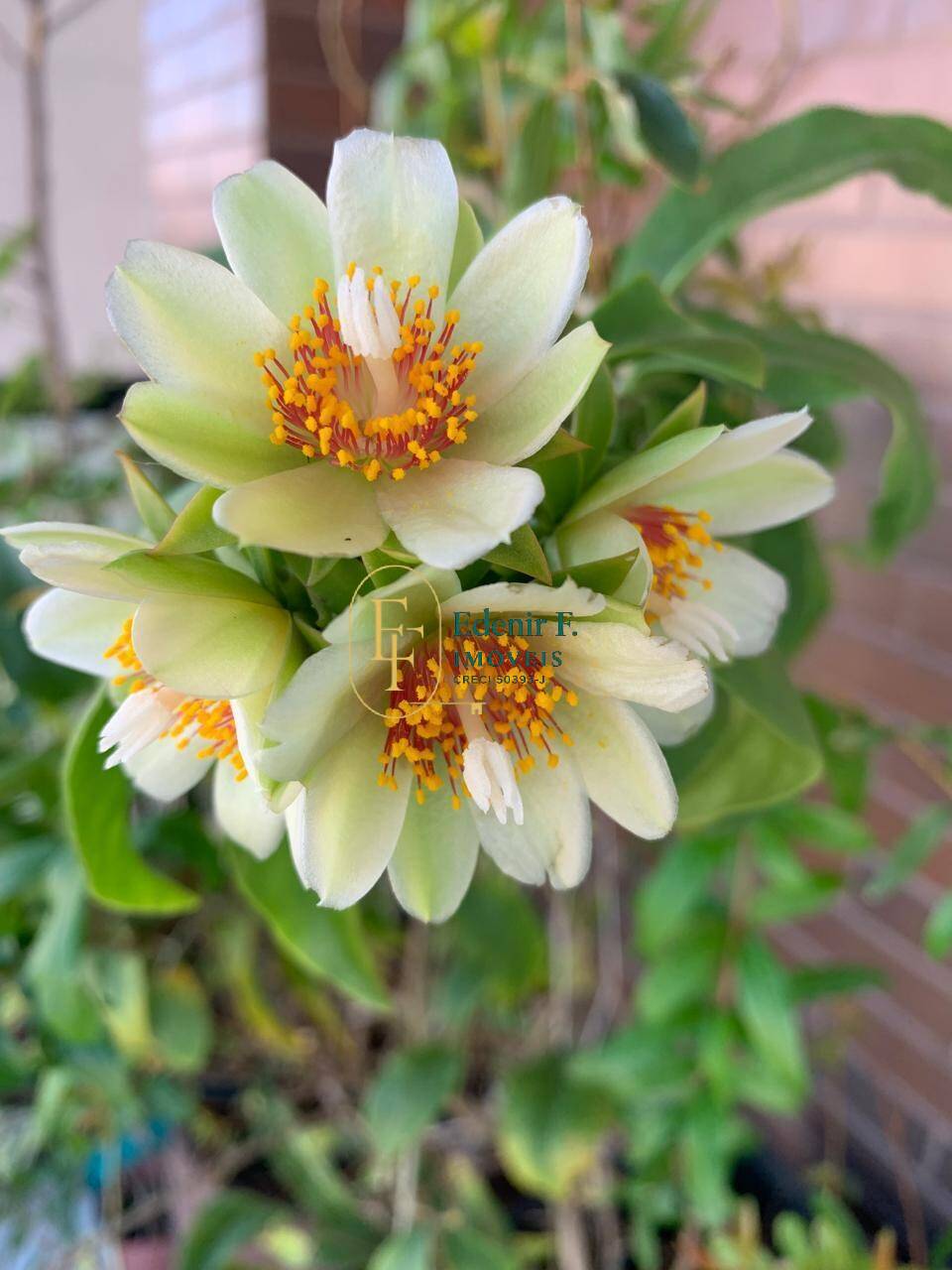 Apartamento, 3 quartos, 108 m² - Foto 24